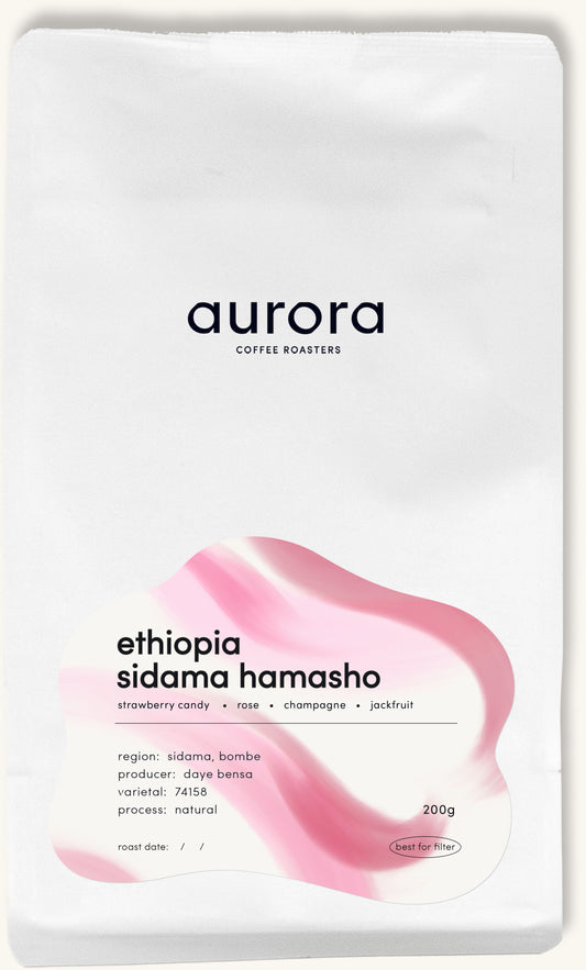 ethiopia sidama hamasho